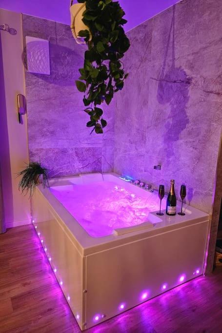 La Parenthese - Votre Cocon Au Centre D'oyonnax *